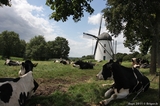 Moulin  vent Grefrath - Rhenanie Westphalie