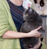 IMG_9175