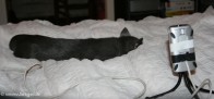 001-Webcam-_0408