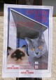 001-affiche_5062