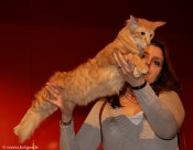 002-chat_3071