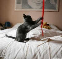 002-jeu_0811