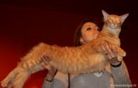 003-Chat_3073