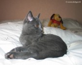 003-coussin_6701