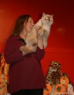 004-Chat_3063