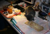 004-aperitif_0819