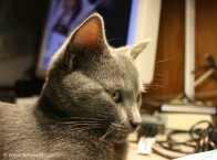 004-profil_2032