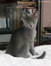 004-regard_0878