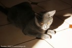 005-6mois_2852