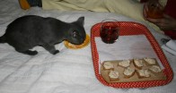 005-apero_1148