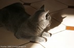 006-6mois_2853