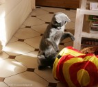 006-7mois_3315