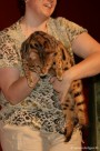 006-Bengal_3080