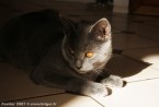 007-6mois_2855