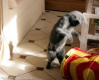 007-7mois_3316