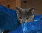 007-ikea_1445