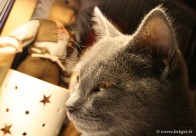 007-lampe_1530