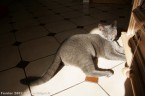 008-6mois_2856