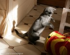008-7mois_3318