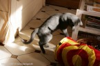 009-7mois_3319