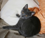 010-regard_0816