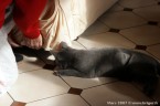 011-7mois_3301