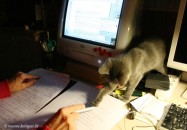 011-informatique_0823