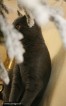 012-cachee_1780