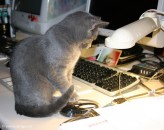 013-informatique_0900