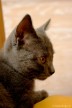 014-profil_0530