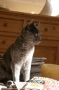 015-7mois_3230