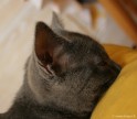 015-profil_0544