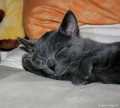016-tranquille_0488