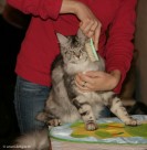 017-toilette_3127