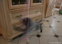 020-Brumi_attaque_0444