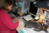 020-informatique_0924