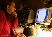 021-informatique_1138