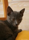 021-regard_0529