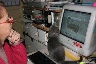 022-informatique_1153