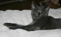 022-regard_0870