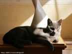 023-7mois_3549