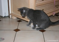 023-jeu_0981