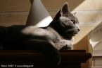 024-7mois_3552