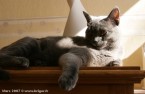 025-7mois_3553