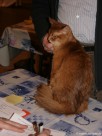 025-Berlioz_3076