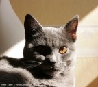 026-7mois_3557
