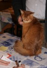 026-Berlioz_3077