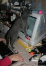 026-informatique_1157