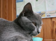 026-profil_2043