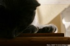 027-7mois_3558